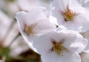 平時對青春痘要怎么護理