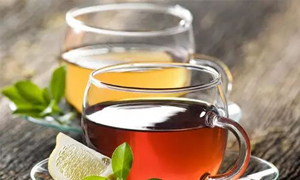 �ﶬ��������A��Ó�l