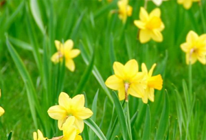 ����ţƤ�_��ĕ������K����p������