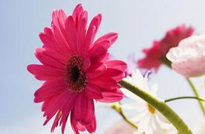 ����L�ĵ��ͰY����ʲô��