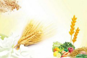 ����L�ί����M���cʲô���P?