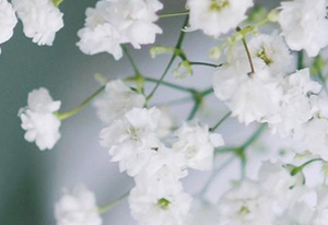 ����Ƥ�w�ϳ�������������ô����: