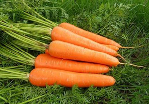 �ί�Ƥ�����ʳ������Ҫע��ʲô