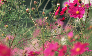 淡化青春痘疤的方法有哪些