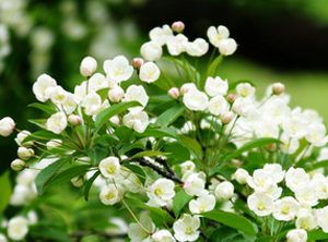 ţƤ�_����Щ���@�Y��