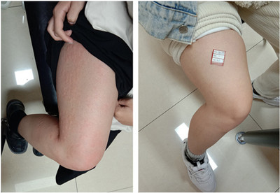 �n�����L���Ŀ��ĺ�