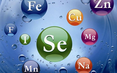 Ó�l�����ȱʲôԪ��