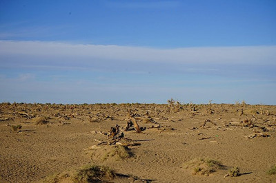 濕疹是什么原因造成的