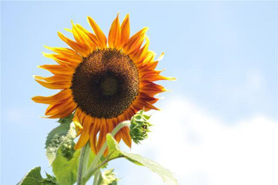 �����A���^����Ƥ��