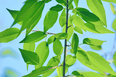 �n�����Л]�п���ֹ�W���k��